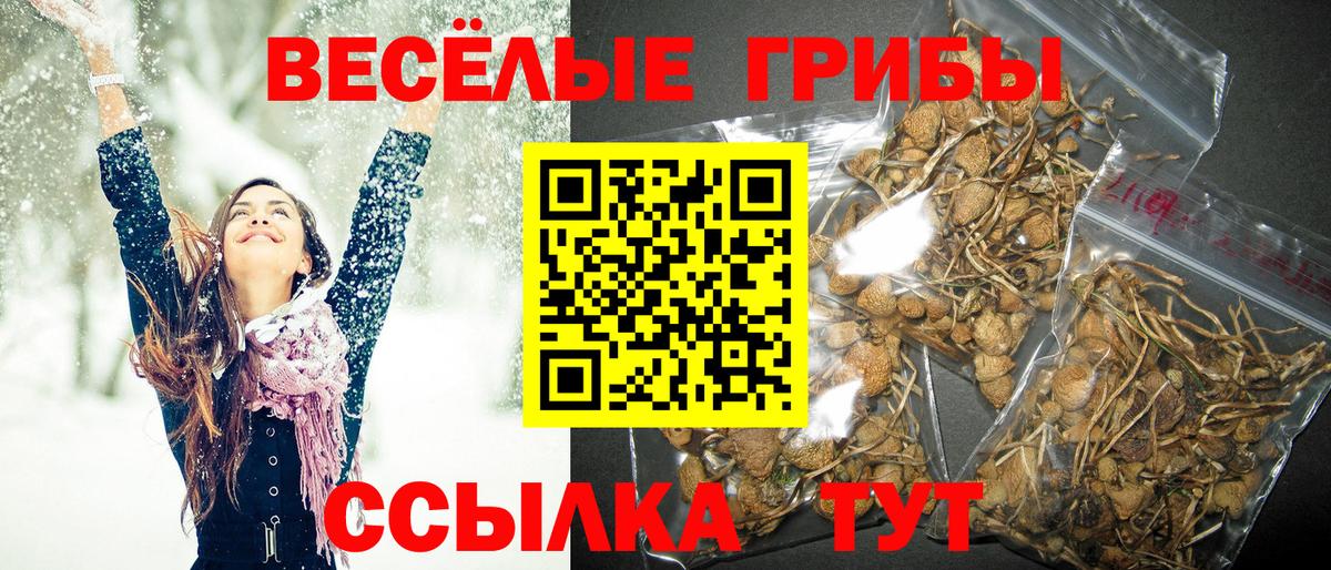 Псилоцибиновые грибы Psilocybine cubensis  Вход с VPN  Бахчисарай 
